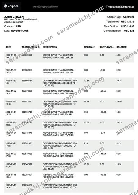 Nigeria Chipper transaction statement Word and PDF template